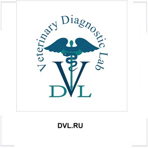 DVL.RU