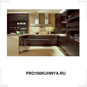 PRO100KUHNYA.RU