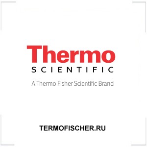 TERMOFISCHER.RU